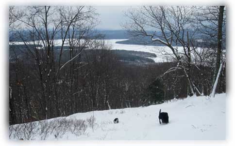 Catskill Mts.