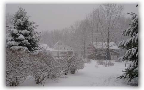 Snowy Days